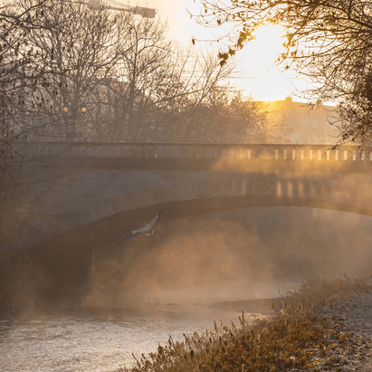 blicklichtgewitter.de